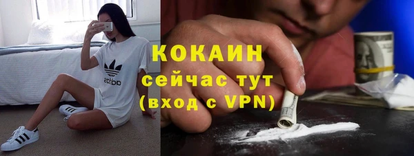 дурь Инсар
