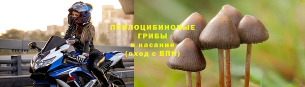 марки lsd Зеленокумск