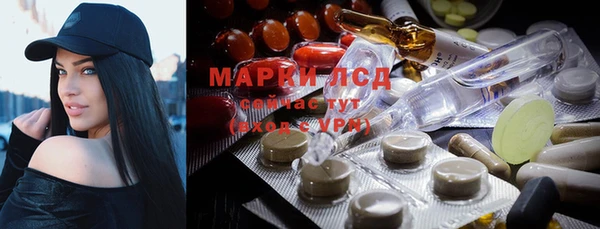 дурь Инсар
