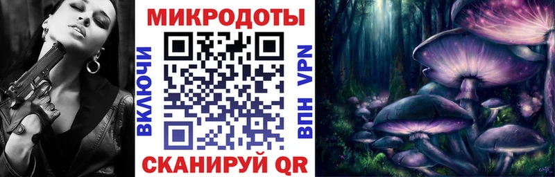 Купить где Новопавловск Галлюциногенные грибы мицелий